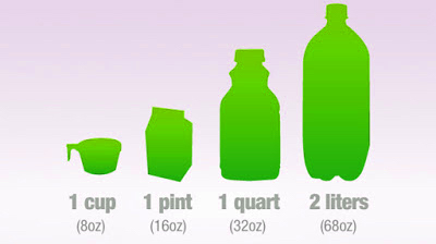 conversion from liters to ounces